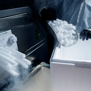 GLAÇONS DU SUD (NOUVELLE GLACIÈRE D'ARLES) - Écopôle Arles Nord